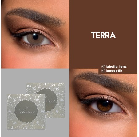 Anastasia Addict Gri Renk Terra (6 Aylık)