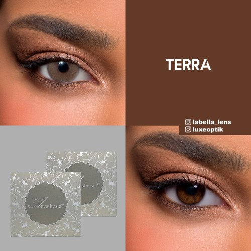 Anastasia Addict Gri Renk Terra (6 Aylık)