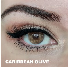 Hypnose Caribbean Olive (Yıllık Lens)