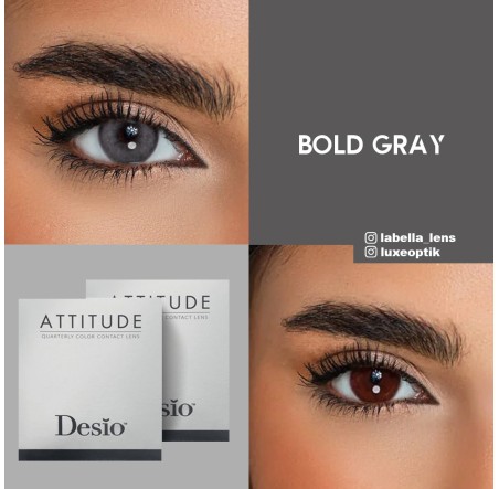 Desio Attitude Quarterly 2 Tone Gri Renk Bold Grey (3 Aylık) 