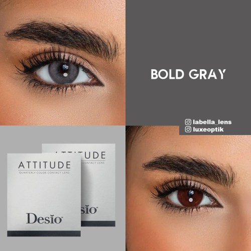 Desio Attitude Quarterly 2 Tone Gri Renk Bold Grey (3 Aylık) 