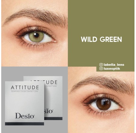 Desio Attitude Quarterly 2 Tone Yeşil Renk Wild Green (3 Aylık)