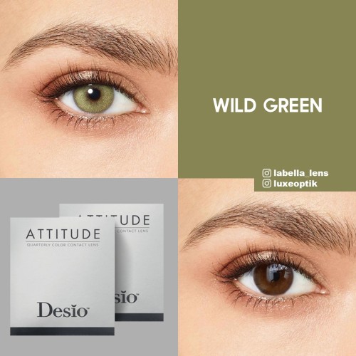 Desio Attitude Quarterly 2 Tone Yeşil Renk Wild Green (3 Aylık)
