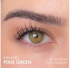 Labella Yeşil Renk Pixie Green (1 Yıllık)