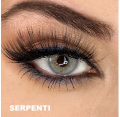 Hypnose Gri Renk Serpenti (3 Aylık)
