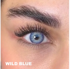 Lezza Wild Blue Mavi Renk (6 Aylık)