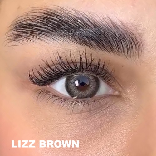 Lezza Lizz Brown (6 Aylık)