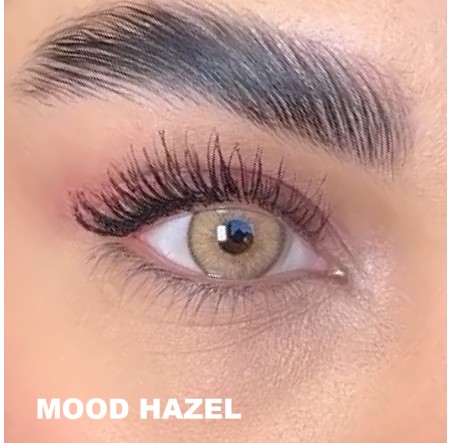 Lezza Kontakt Lens (6 Aylık)