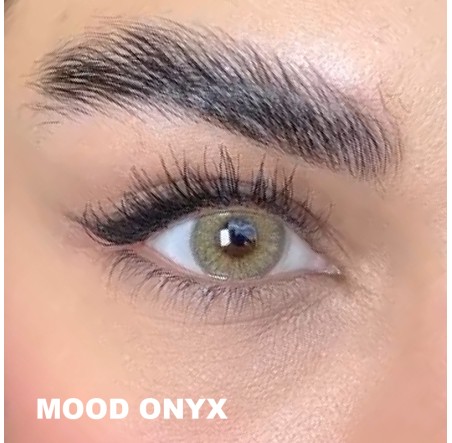Lezza Kontakt Lens (6 Aylık)