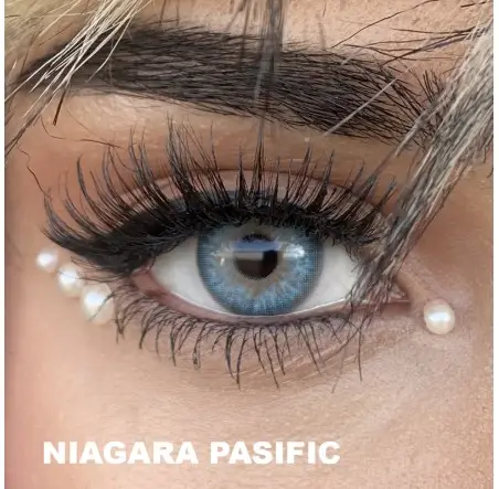 Fx Eyes Niagara Pasific (3 Aylık)