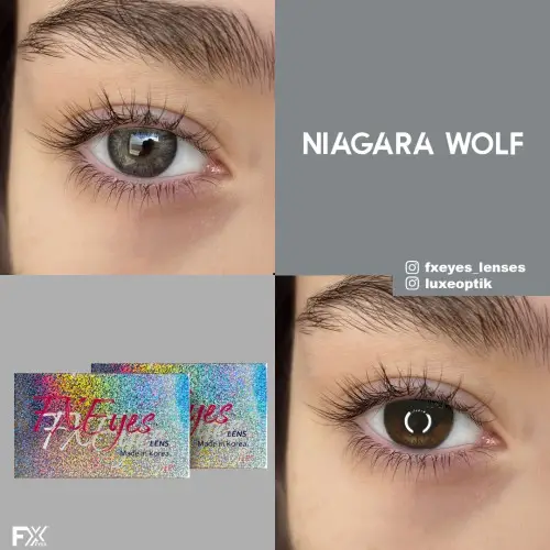 Fx Eyes Gri Renk Niagara Wolf  (3 Aylık)