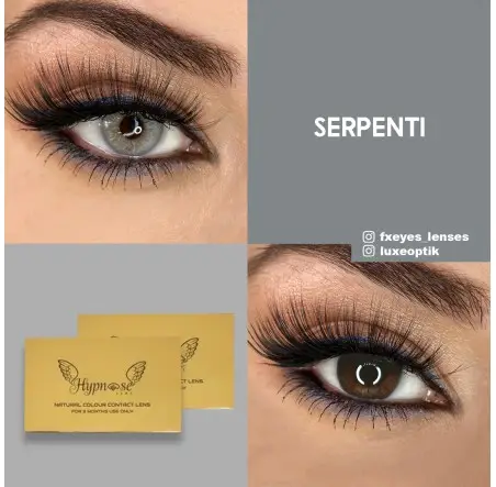 Hypnose Gri Renk Serpenti (3 Aylık)