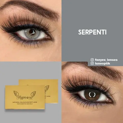 Hypnose Gri Renk Serpenti (3 Aylık)