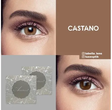 Anastasia Addict Ela Renk Castano (6 Aylık)