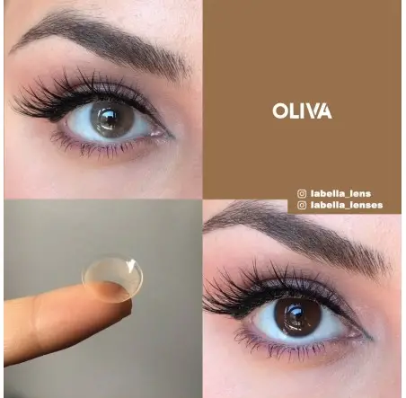 Labella Ela Renk Oliva (1 Yıllık)
