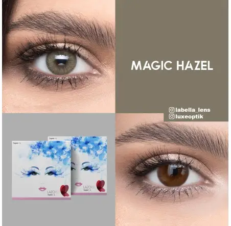 Lazord Magic Hazel Ela Renk (1 Yıllık)