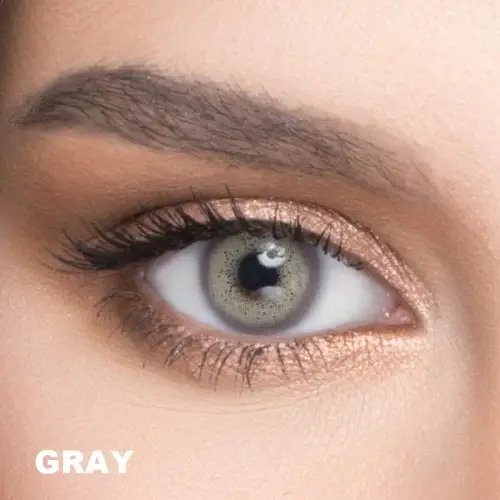 Le Reve Gray Gri Renk (1 Yıllık)