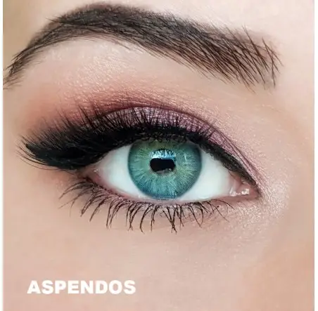 Fx Eyes Lens (1 Yıllık)