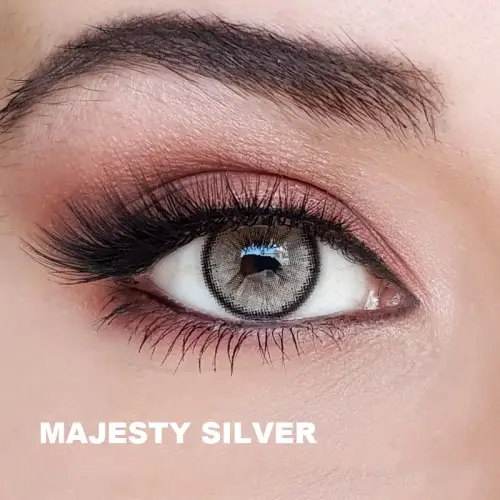 Hypnose Gri Renk Majesty Silver (1 Yıllık)