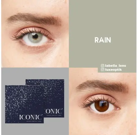 Iconic Gri Renk Rain (3 Aylık)