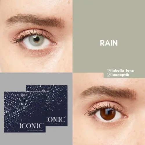 Iconic Gri Renk Rain (3 Aylık)