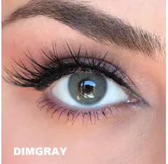 Labella Gri Renk Dimgray (1 Yıllık)