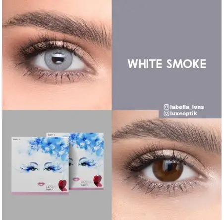 Lazord White Smoke Gri Renk (1 Yıllık)