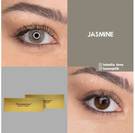 Rainbow Lovely Gri Renk Jasmine (1 Yıllık)