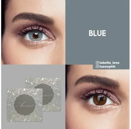 Anastasia Addict Mavi Renk Blue (6 Aylık)