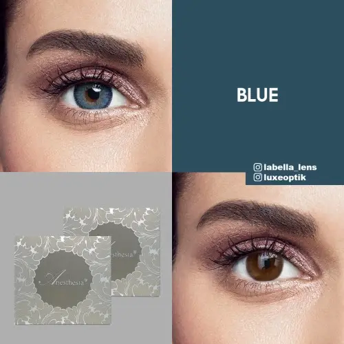 Anastasia Anesthesia Mavi Renk Blue (6 Aylık)