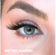El Amore Mavi Renk Hawaii (6 Aylık)