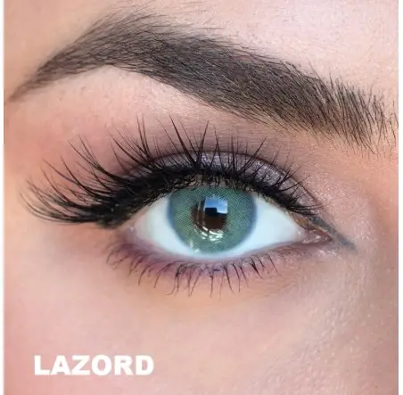 Labella Mavi Renk Lazord (3 Aylık)