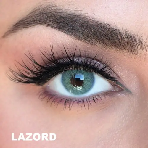 Labella Mavi Renk Lazord (3 Aylık)