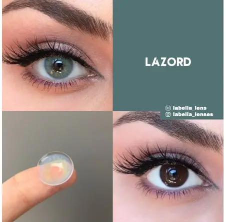 Labella Mavi Renk Lazord (1 Yıllık)