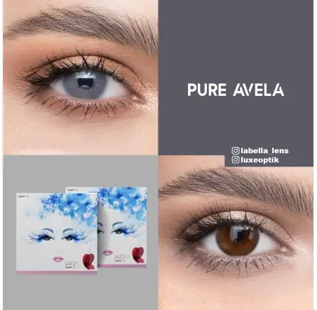 Lazord Pure Avela Mavi Renk (1 Yıllık)