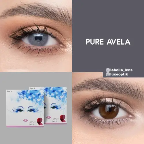 Lazord Pure Avela Mavi Renk (1 Yıllık)