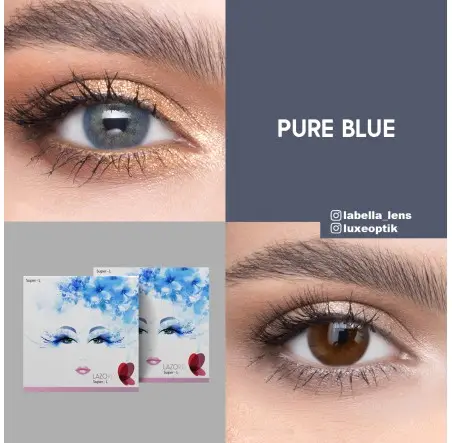 Lazord Pure Blue Mavi Renk (1 Yıllık)