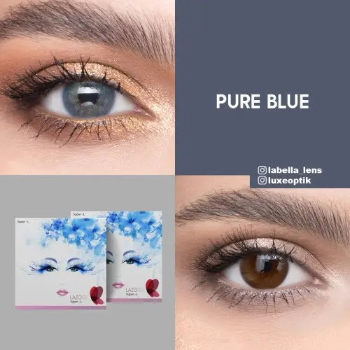 Lazord Pure Blue Mavi Renk (1 Yıllık)