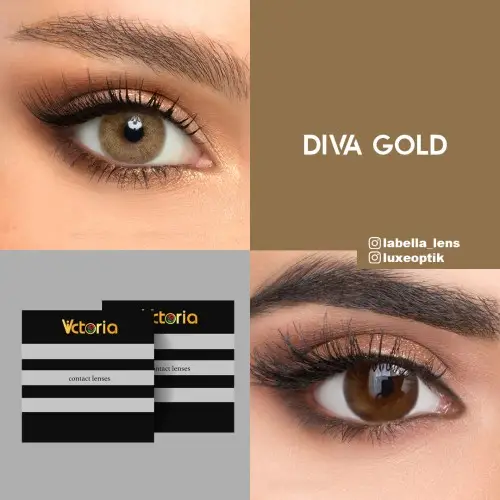 Victoria Diva Gold Ela Renk (1 Yıllık) 