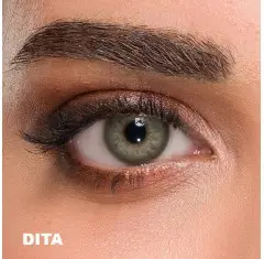 Claro Yeşil Renk Dita (1 Yıllık)