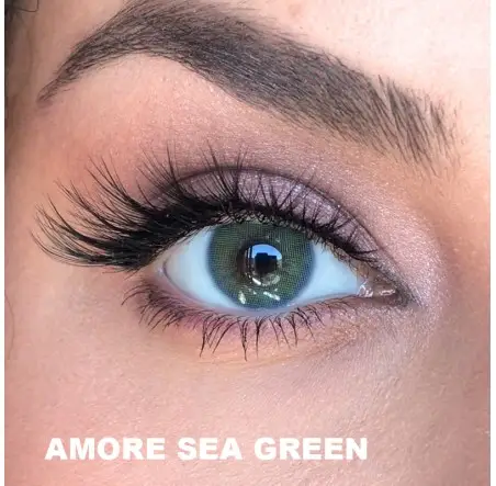 El Amore Amore Serisi (6 Aylık)