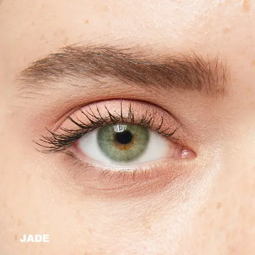 Iconic Yeşil Renk Jade (3 Aylık)