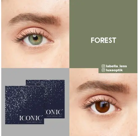 Iconic Yeşil Renk Forest (3 Aylık)