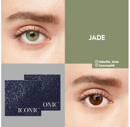 Iconic Yeşil Renk Jade (3 Aylık)