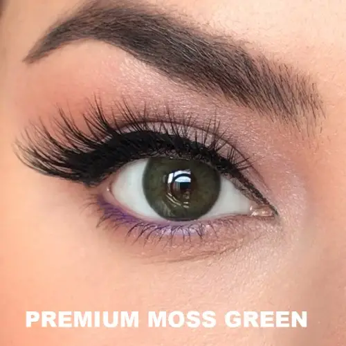 Labella Yeşil Renk Moss Green (3 Aylık)