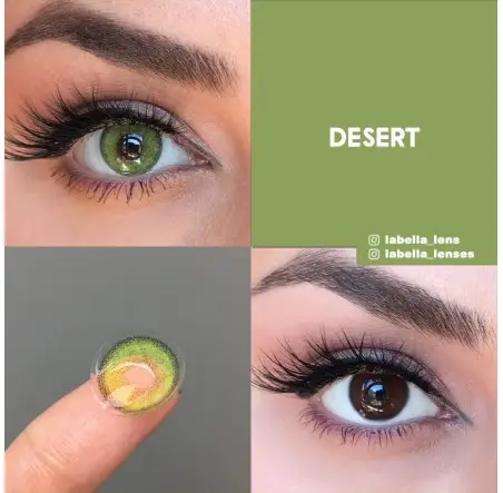 Labella Yeşil Renk Desert (3 Aylık)