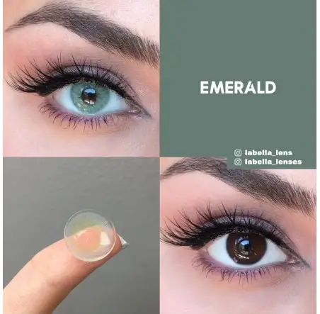 Labella Yeşil Renk Emerald (3 Aylık)