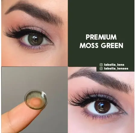 Labella Yeşil Renk Moss Green (3 Aylık)