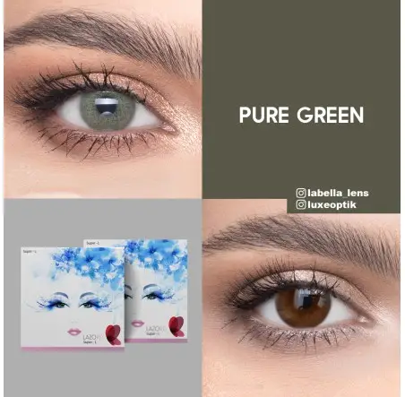 Lazord Pure Green Yeşil Renk (1 Yıllık)