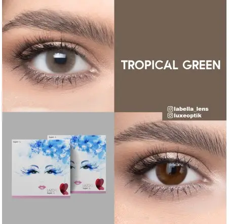 Lazord Tropical Green Yeşil Renk (1 Yıllık)